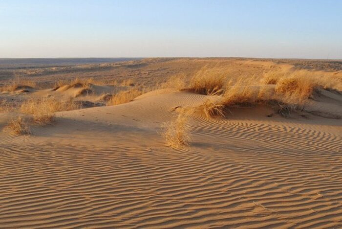 пустыня Кызылкум рельеф