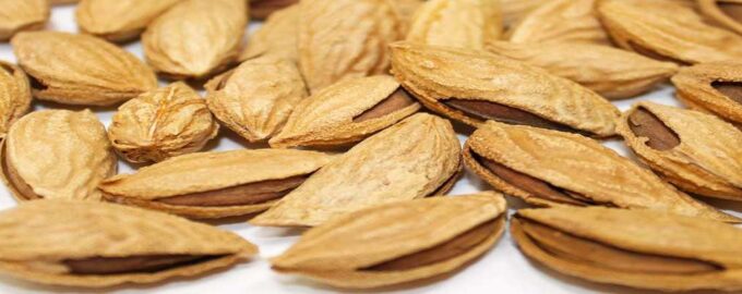 Миндаль в скорлупе