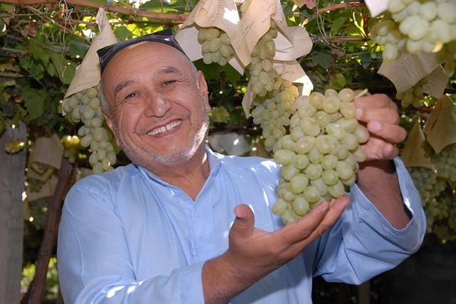 Виноград фермеры Узбекистана
